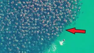 He noticed something “terrible” moving in the ocean. This spectacle is breathtaking!