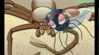 The Spider Who Couldn't Hide - Mail Time