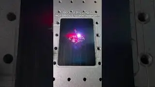 $10k Laser VS mosquito🦟 (Who will win?)