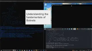 Understanding Botnets: Explanation and Demonstration