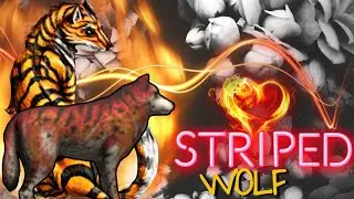 The WOLF simulator | Striped Wolf new skin! 🐺🧡🖤 #shorts