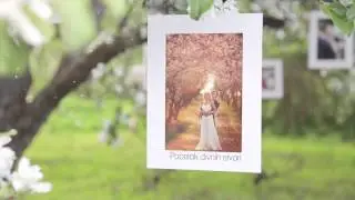 Zanesenjak među fotografijama