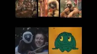 All Zoboomafoo US VHSs at Once (Redone)!
