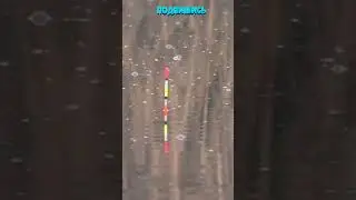 Рыбалка на Поплавок 17 #shorts Рыбак Подпишется!😍