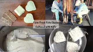 FARM FRESH FETA CHEESE CULTURED WITH KEFIR | MADE WITH FARM FRESH RAW MILK