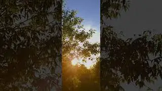 #djidrones