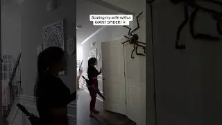 SCARING MY WIFE WITH A GIANT SPIDER 😳