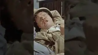 Народная мудрость. Работа не волк, ой это не надо