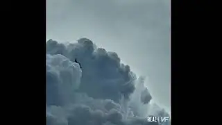 NF Type Beat “Real” l Cinematic Beat l Orchestral Beat l Orchestral Instrumental Prod. TommyBeets