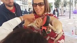 Festa di San Francesco a Pescara - DOG Village