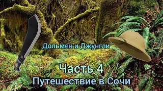 Влог | Поехали на море / 2023 Сочи (4 часть) Волконский Дольмен и Заросший лес {5 день}