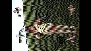faerybabyy - lobotomy son (eternalcore version)