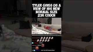 Tyler1 gives us a view of his NEW normal size 23k couch