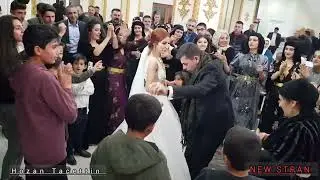 Hozan Tacettin - Barzan ja3far Danishtni