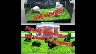 #Aliexpress