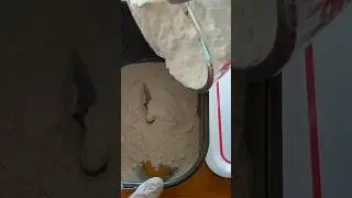 Can I use all-purpose flour in a bread machine? #hamiltonbeach