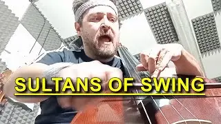 TESEO - Sultans Of Swing - But On Double Bass