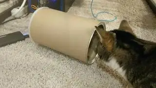 Modular Chirping Cat Toy with distance sensor and servo