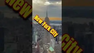 Good Morning 🌤️ New Yorker