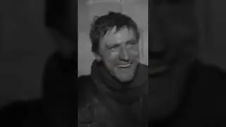#сво