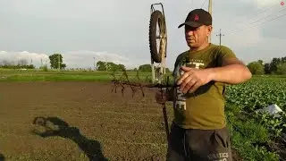 ПРОПОЛКА КАРТОШКИ ЕЖАМИ  2021.