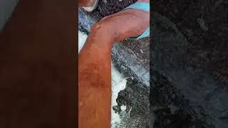 de chinelo havaianas