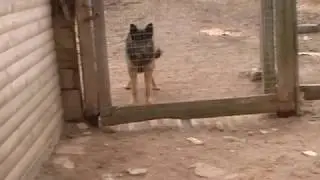 Просочился...