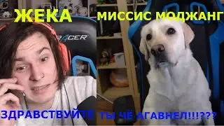 Все разговоры Жеки с Миссис Моджанг в рубрике Майнкрафт но меняются версии. Зомби - Нарезка