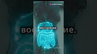 Изменения в организме от перца пепперони.