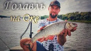 Трофейный голавль ● река Ока ● Александр Филин