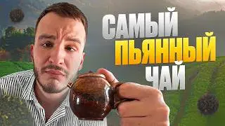 ТЕ ГУАНЬ ИНЬ ИЛИ ДА ХУН ПАО? ЧТО ЛУЧШЕ РАССЛАБЛЯЕТ?