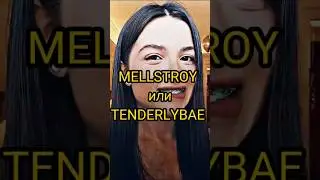Кого выберешь?Напиши в комментариях #mellstroy #tenderlybae #shorts
