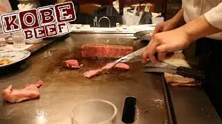 » Mein Austauschjahr « in Japan [Kobe Beef] #37