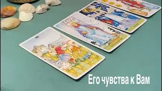 Его чувства к Вам 