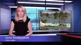 DAR - Robinzonas (Robi, Robi, Robi)
