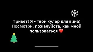 Кулер для вина в подарок на Новый год 2023