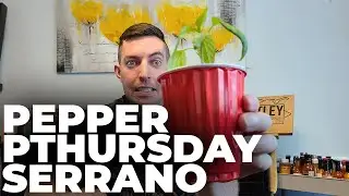 Serrano Pepper - Pepper Pthursday