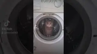 21 октября 2021 г.