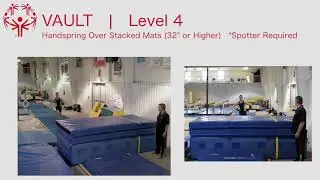 Male Level 4 Vault Handspring over Mats