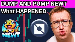 What Happening to NEWT - Neutron Memecoin Sudden Dump and Pump