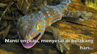 LAGU TEKEK - Mirae TEKEK EDITION