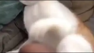 Достойный соперник
