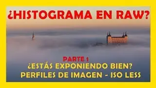 ✏️✏️ Histograma en fotografía digital  ¿ Iso Invariante / Iso Less? ¿ Estás exponiendo bien ?