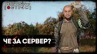 PERVAK Server | DayZ 1.20