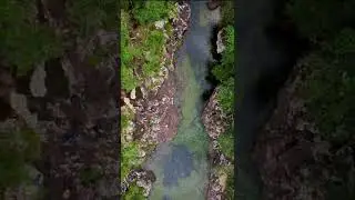 Colombia's Cao Cristales - Travel Vlog 🌄☀️