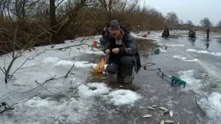 Ловля карася на пруду в оттепель .