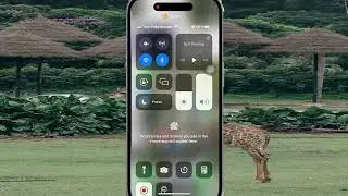 How to Adjust Auto Scanning Time Switch Control in iPhone 14 Pro