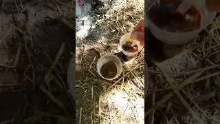 Ранкова кава ЗСУ на передку