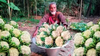 Grandpa Secret Recipes, 3 Veg Curry in Village Style - Never seen veggie recipes like these!