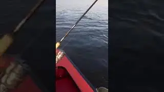 лодка МКм  . Отпуск в Никольском 2